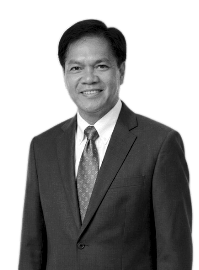 Dr. Roberto G. Gonzales, Finance and Management Consultant